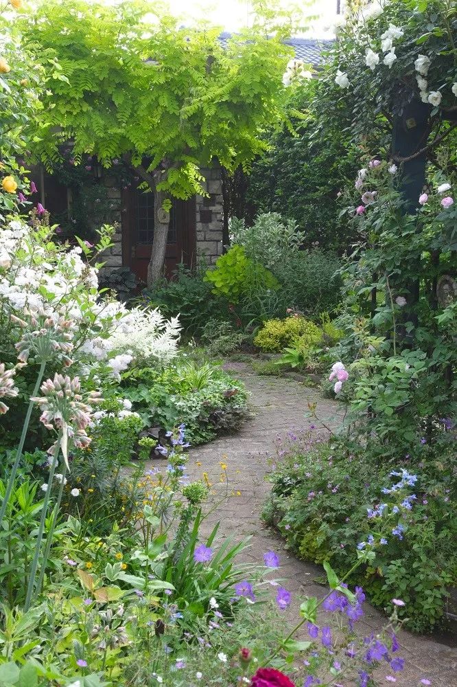 你的院子，怎能少了精致的花园小径