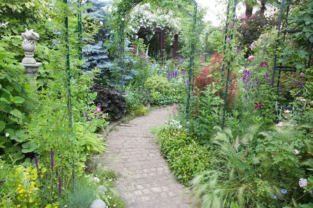 你的院子，怎能少了精致的花园小径
