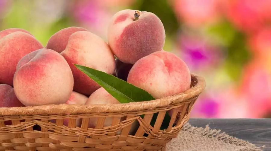 桃子和西瓜不能一起吃？关于桃子的 5 个真相