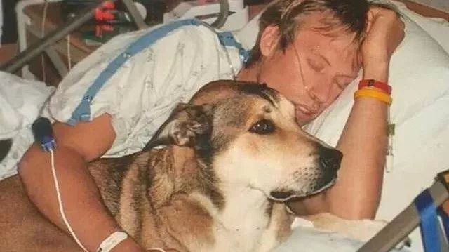 忠犬陪主人战胜癌症，十年后自己患癌，主人却