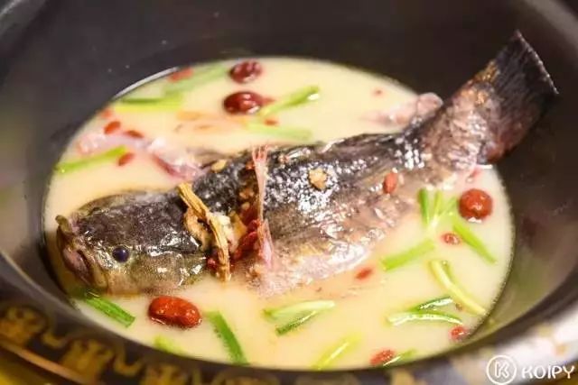 蒸汽石锅鱼五周年请你5折吃！还有豆花系列新品和招牌菜！