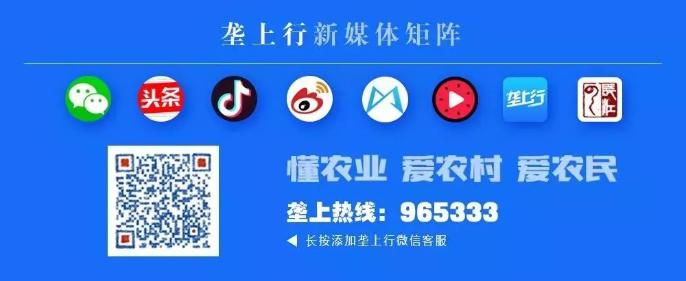 湖北省虾稻产业将迎来“官方..”，打造虾稻区域公用品牌(3)