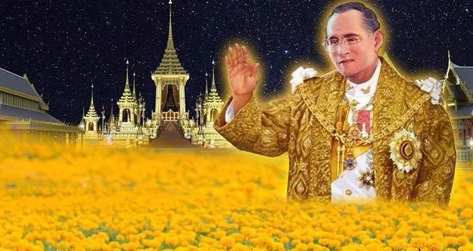 泰国九世先王就“站在”我面前！此刻的我，泪如泉涌……(7)