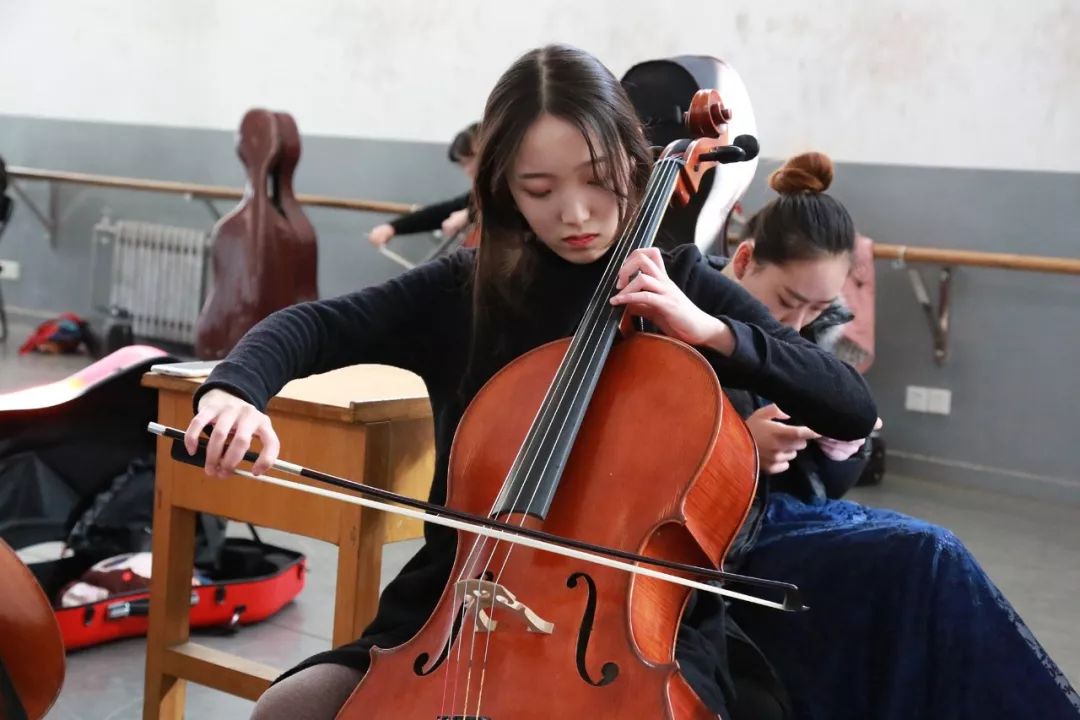 【重磅】一把大提琴价值10万元！山艺音乐学院院长答疑：乐器考试没有冷门！