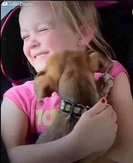 妈妈不允许两女孩养狗，随后爸爸的举动让她们喜极而泣！