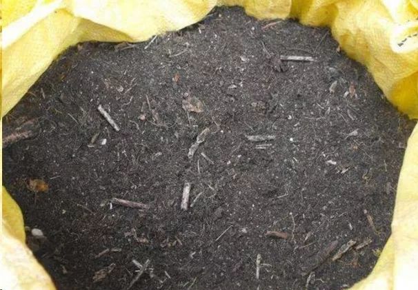 养花土杀虫灭菌，一个塑料袋就搞定了,花盆里一个虫子都没有！