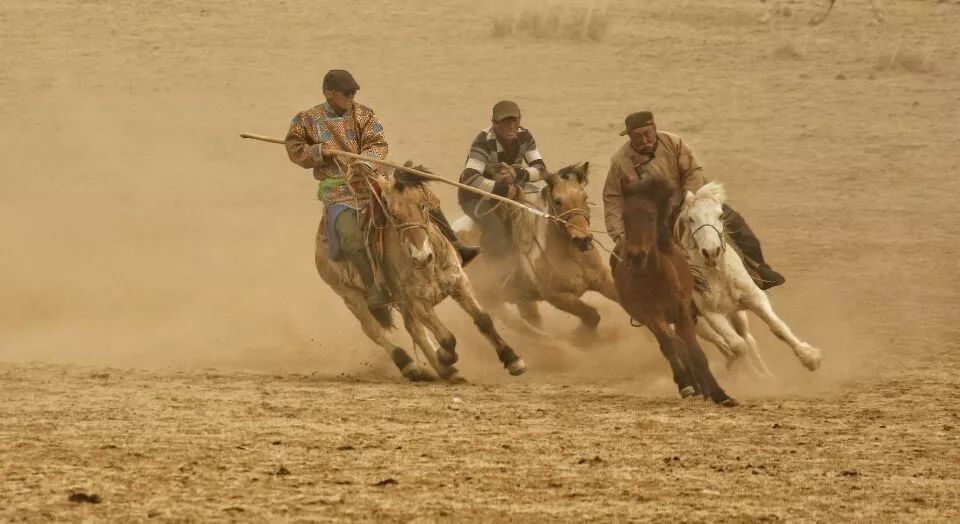 五月（第3集）内蒙古摄影联盟作品展