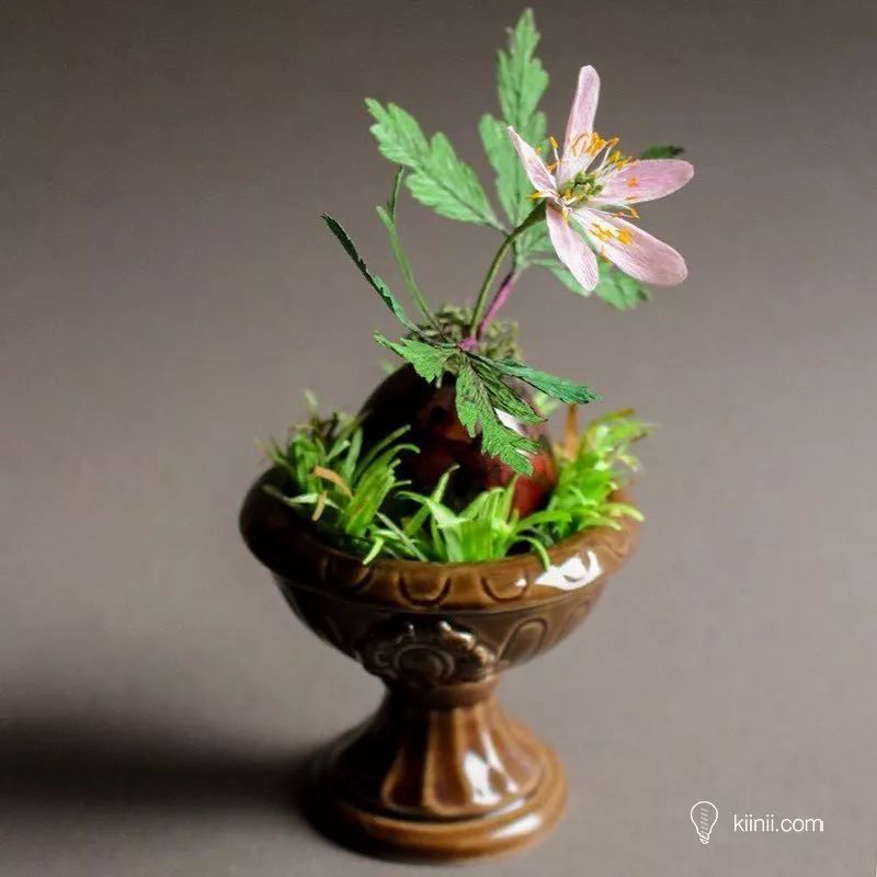 植物学家迪安娜：创作出了比真花更美的手工纸花