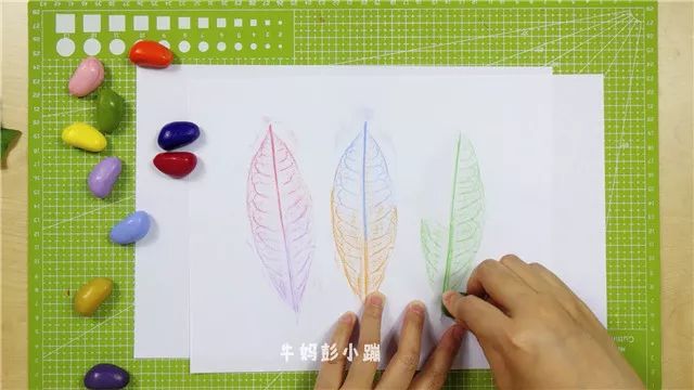 【牛妈彭小蹦 | 手工课堂】捡来的树叶也可以画画，宝宝超爱玩