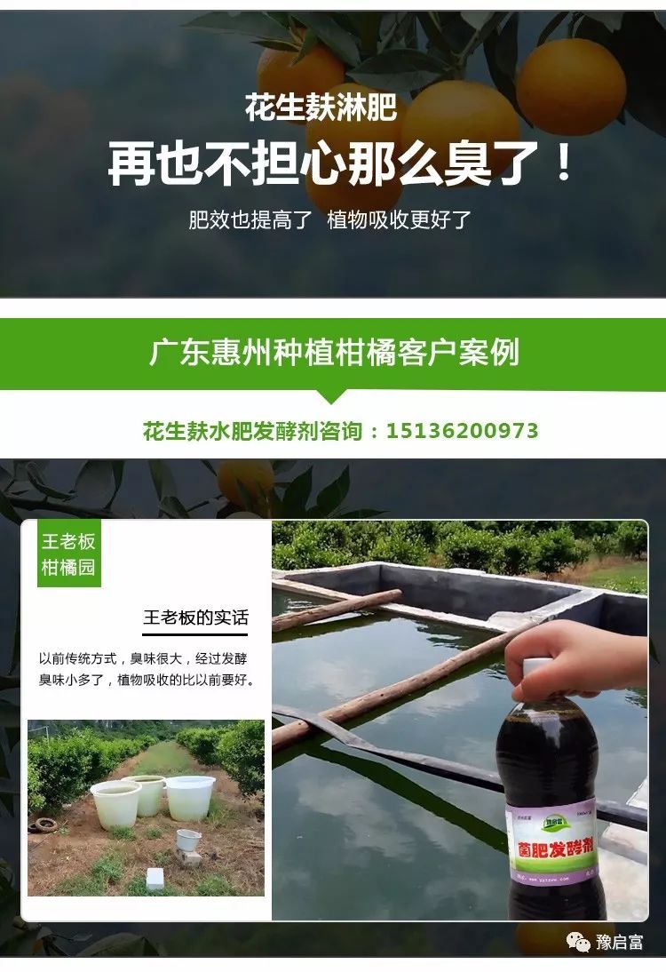花生麸水肥发酵剂用后为什么不臭了，肥效高了！(3)