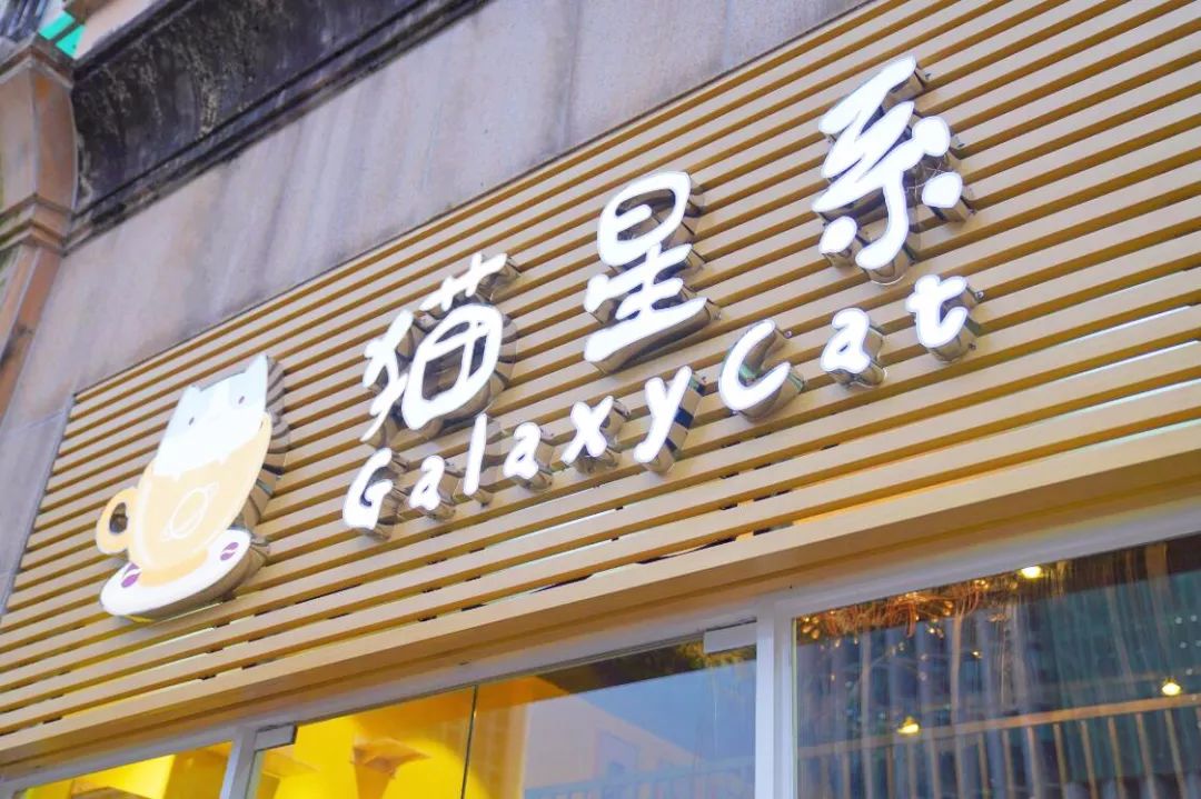 广州塔下的大型吸猫现场！广州这家萌到炸的猫咪主题餐厅，让你一次性吸到爽！