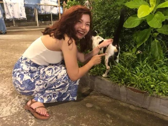 遇到一只流浪猫，本以为它的刘海已经很好笑，没想它的铃铛才是经典！