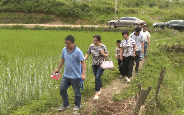 谁在帮助新化县支华村实现“毛路变坦途，枯井涌清泉”的心愿
