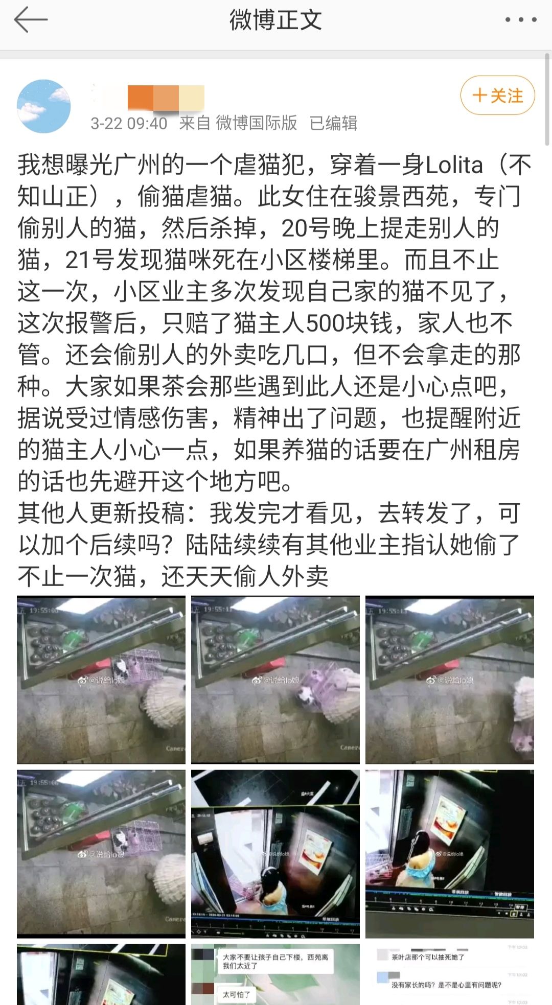 广州某lo娘专门偷猫后虐杀，血腥场面被曝光！据说她还尾随儿童……