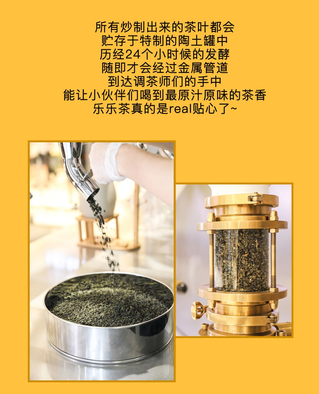 楽楽茶全球首家制茶工场登录魔都！最全新品点单攻略就在这里！