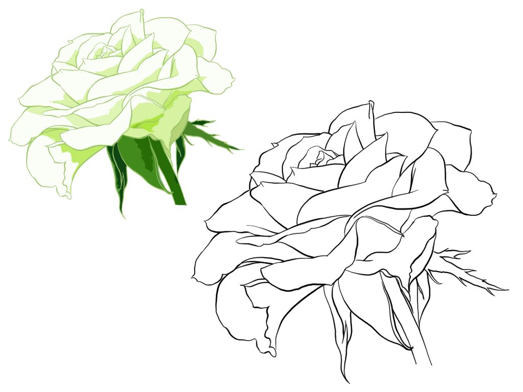 简单易学的花卉教程（附570张花卉线稿上色素材），唯美插画背景一次搞定！