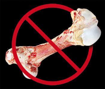 骨头——可能要了你狗的命！