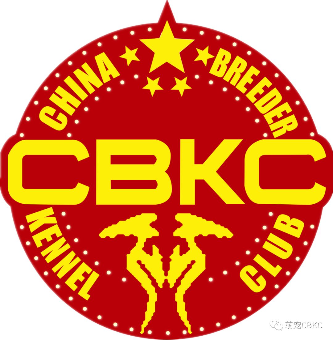 特体恶霸犬、英、美、法牛 参赛成绩单-CBKC北京