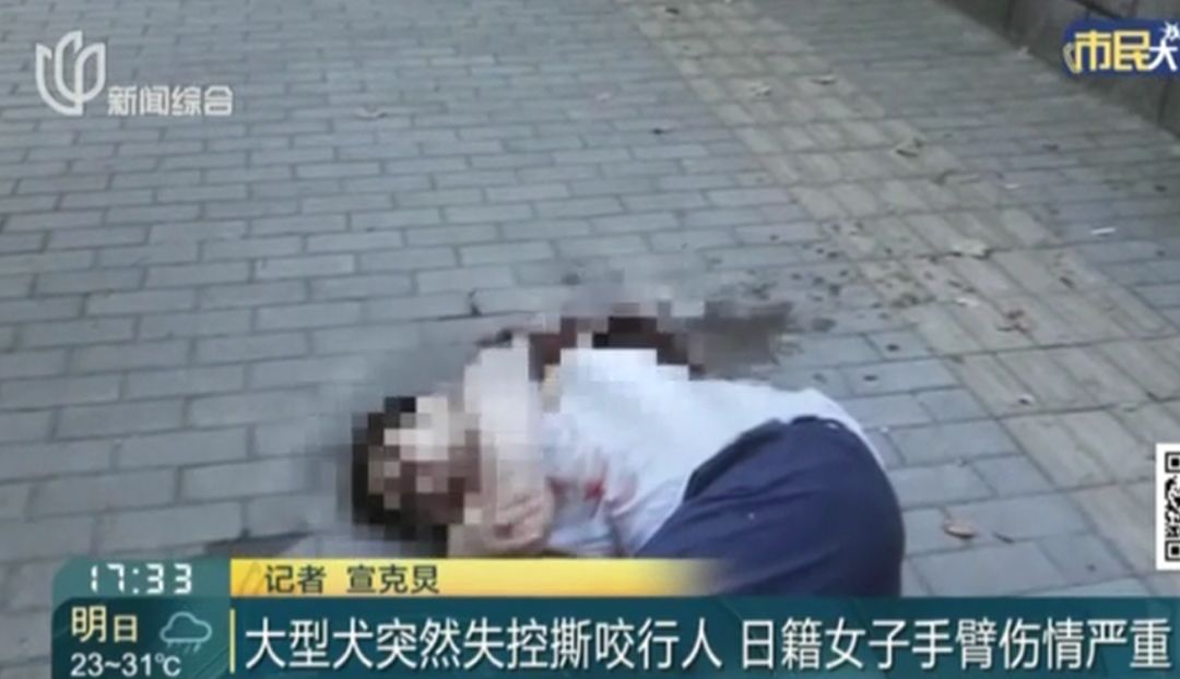 可怕！一日籍女子在上海街头遭大型犬撕咬，而受伤女子：这不是狗的问题...
