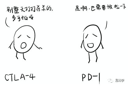 【2018诺贝尔奖】漫画 | PD-1/PD-L单抗的作用机制(2)