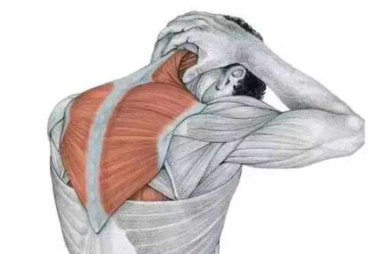 肩颈痛别忽视，可能隐藏着大问题！