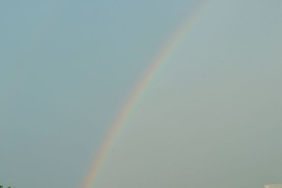 在北大，看见最美的彩虹(2)