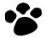 宠物中的劳斯萊斯-高端纯种的孟加拉豹猫-航長豹