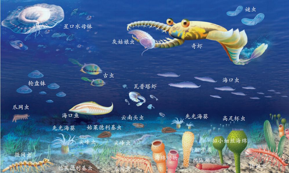 中国自然好书奖，“不得不听的化石故事”！(4)