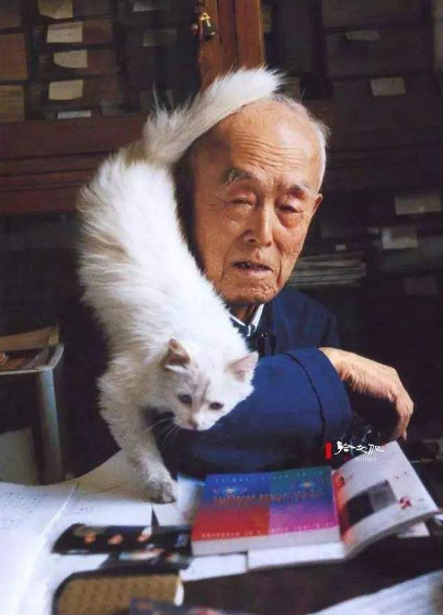 老人与猫